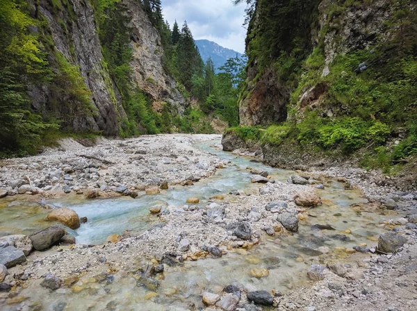 Hiking trail yakınındaki Martuljek nehir, Slovenya
