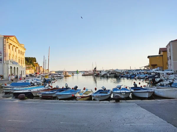 Λιμάνι της Piran με βάρκες, Σλοβενία — Φωτογραφία Αρχείου