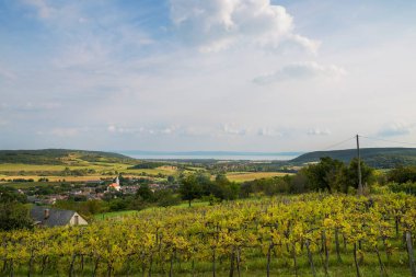 Balaton ve Nivegy valley şarap bölgesi, Macaristan
