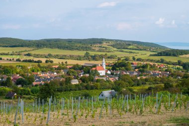 Balaton ve Nivegy valley şarap bölgesi ile köy, Macaristan