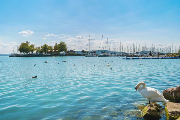 Λιμάνι του Balatonfured και η λίμνη Μπάλατον, Ουγγαρία — Φωτογραφία Αρχείου