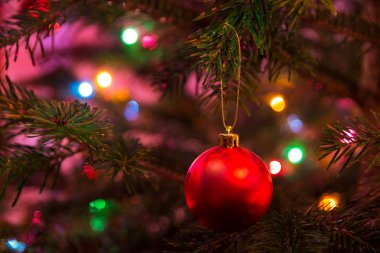 Kırmızı Noel top ağaç üzerinde