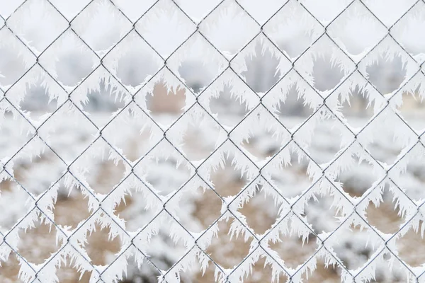 Frozen mesh fence wires with ice in winter background