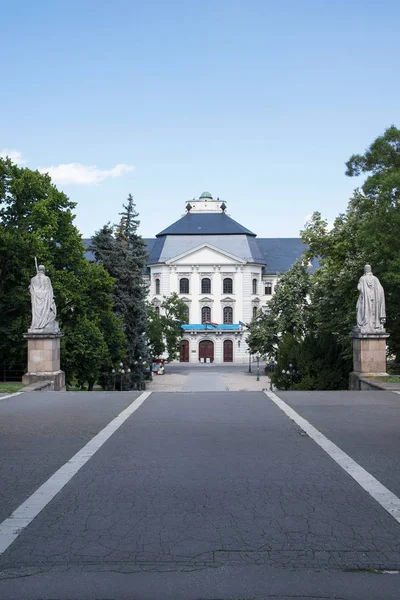 The Eger Lyceum, Hungria — Fotografia de Stock