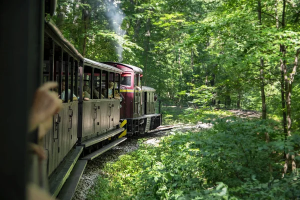Lillafured orman tren, Macaristan