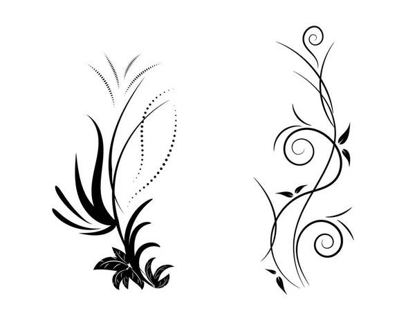 Conjunto de adorno floral blanco y negro — Vector de stock