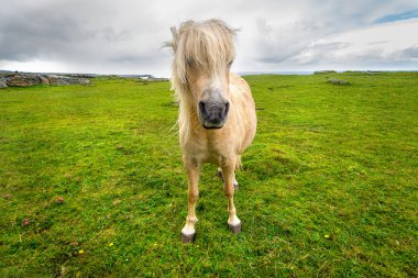 Midilli ücretsiz İrlandalı beach