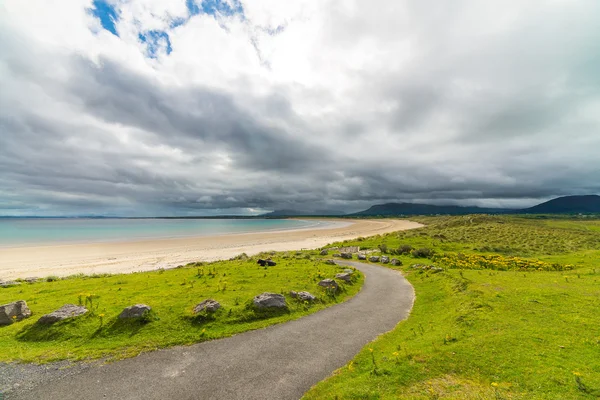Beau paysage de falaises en Irlande — Photo