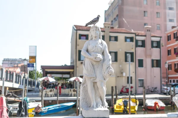 Pigeon posé sur la tête d'une statue à Chioggia, Italie Images De Stock Libres De Droits