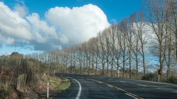 Fákkal szegélyezett út ívelt felhős égbolt alatt balra — Stock Fotó