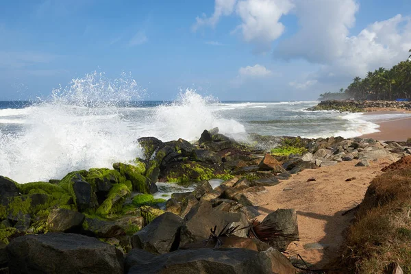 Palme da cocco su una spiaggia rocciosa cosparsa di onde agitate — Foto Stock