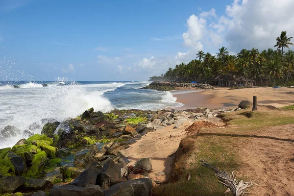 Palmy kokosowe na skały plaża porozrzucane pounded przez wzburzone fale — Zdjęcie stockowe
