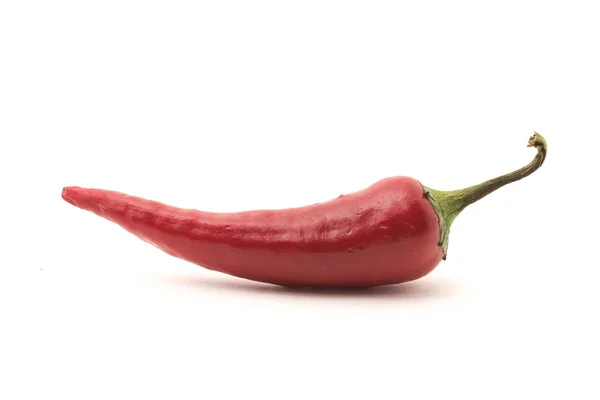 Rode chilipeper geïsoleerd op witte achtergrond — Stockfoto