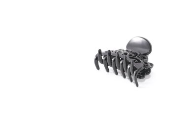 Barrette Yengeç izole üzerinde beyaz arka plan