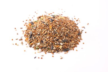 Beyaz arka plan üzerinde izole papağan için gıda