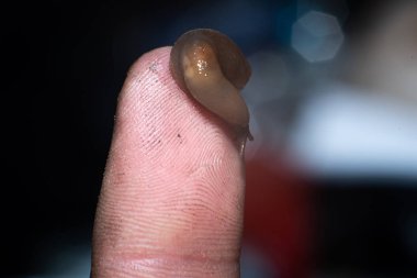 Kirli bir parmakta küçük bir çamur, yakın plan..