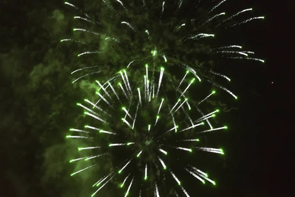 Fireworks, green on a dark sky background. — Stock Photo, Image