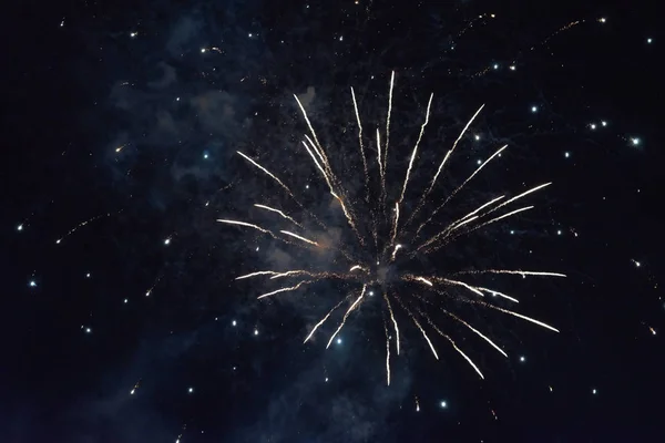 A flash of fireworks against a dark sky. — 스톡 사진