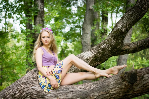 Ağaçta oturan güzel bacaklı kız. — Stok fotoğraf