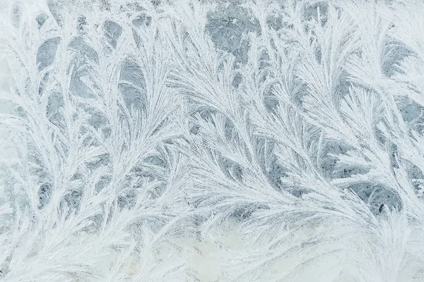 Frosty pattern on the window, similar to the branches of trees. — Stock Photo, Image