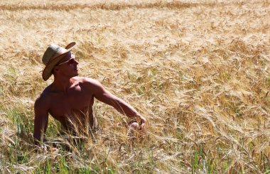 Adam sarı çimenlerde saklanıyor..