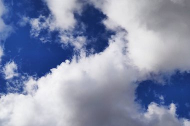 Uzakta bulutlu gökyüzündeki kuşlar. Herhangi bir amaç için.