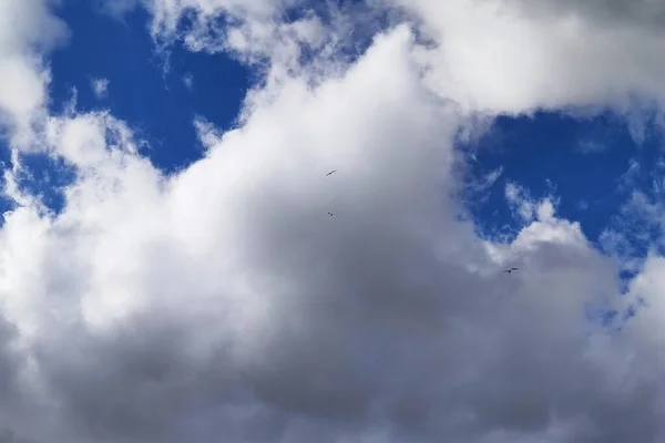 Πουλιά Στο Συννεφιασμένο Ουρανό Στο Βάθος Για Οποιονδήποτε Σκοπό — Φωτογραφία Αρχείου