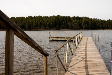 Ormanda sessiz bir göl, bir rıhtım, bulutlu bir havada. Herhangi bir amaç için.