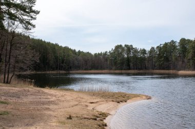 Ormanda sessiz bir göl, bir rıhtım, bulutlu bir havada. Herhangi bir amaç için.