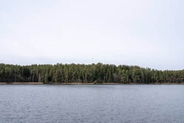Ormanda sessiz bir göl, bir rıhtım, bulutlu bir havada. Herhangi bir amaç için.