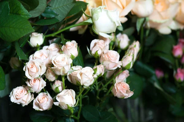 Kwiaciarki rynku. Różne róż — Zdjęcie stockowe