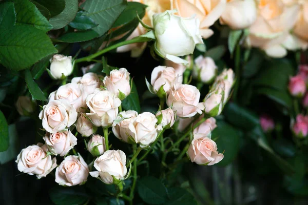 Mercato dei fiori di strada. Rose diverse Foto Stock