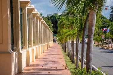 Cadde görünümü Santo Domingo, Dominik Cumhuriyeti, sol tarafta duvar ve sağ tarafta ağaçları ile.
