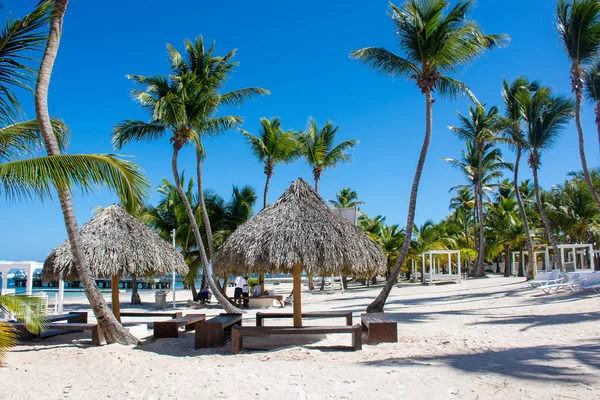 Am Strand gibt es Strohhäuser auf dem Hintergrund von Palmen und einem schönen blauen Himmel — Stockfoto