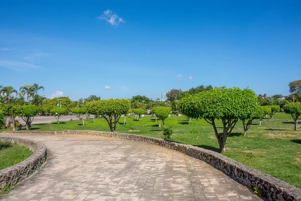 Hermosos árboles con coronas verdes redondas y una carretera cercana hecha de piedra, contra un cielo azul — Foto de Stock