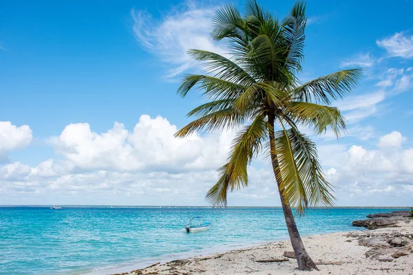 Speedboote im klaren Meer vor dem Hintergrund von Palmen und schönen Wolken — Stockfoto