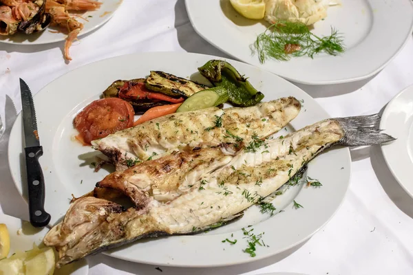 Garnitür sebze ile lezzetli beyaz ızgara balık