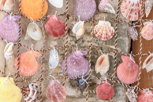 Perdeleri denizden güzel renkli deniz kabukları