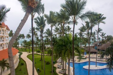 Otelin yüzme havuzu ve palmiye ağaçları tropikal