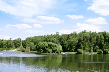 Güzel bir manzara ve bir göl ülke park