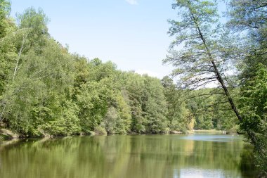 Güzel bir manzara ve bir göl ülke park