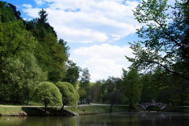Güzel bir manzara ve bir göl ülke park