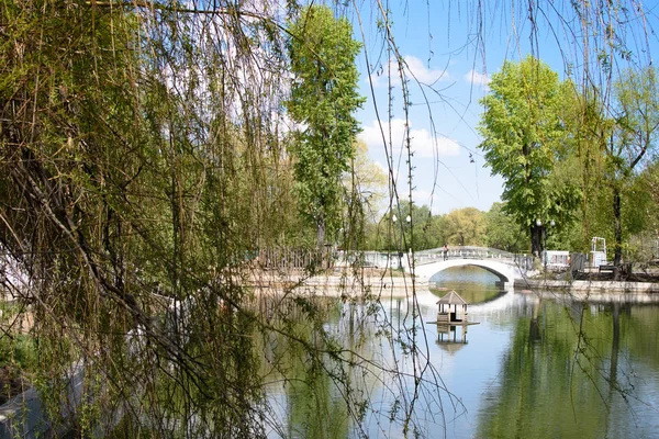 Parque rural con un hermoso paisaje y un lago puente peatonal — Foto de Stock