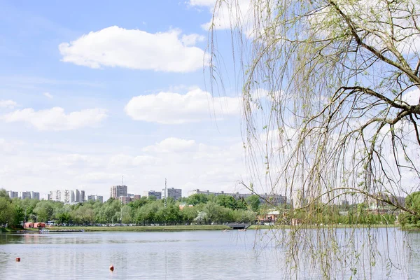 Land park met een prachtig landschap en een meer — Stockfoto