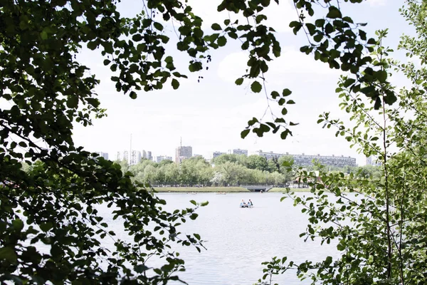 Country park, a gyönyörű táj és a tó — Stock Fotó