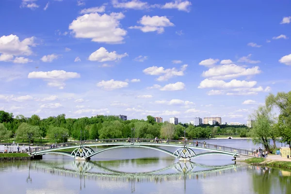 Parque rural con un hermoso paisaje y un lago puente peatonal — Foto de Stock