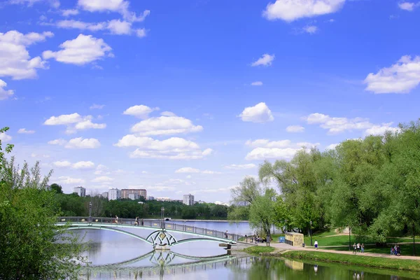 Parque rural con un hermoso paisaje y un lago puente peatonal — Foto de Stock