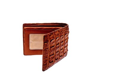 Çanta timsah deri kahverengi para para dolar para izole üzerinde beyaz zemin üzerine