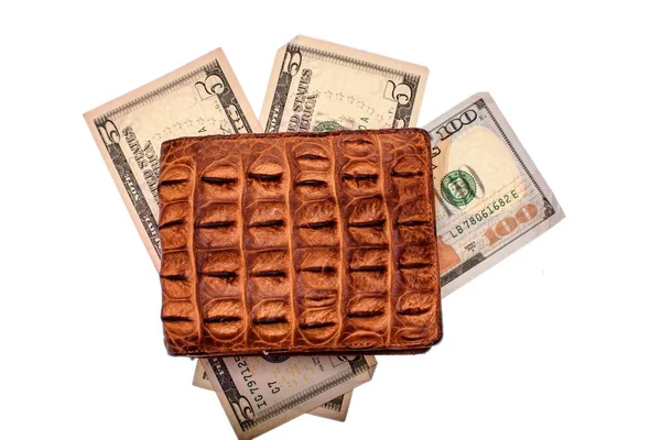 Monedero de piel de cocodrilo dinero marrón moneda dolar en aislado sobre fondo blanco —  Fotos de Stock