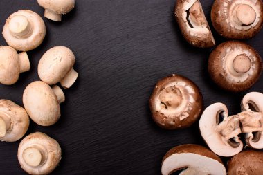 Gri ve beyaz petrol bütün mantar ve yalan bir taş siyah barut, arka plan dilimlenmiş